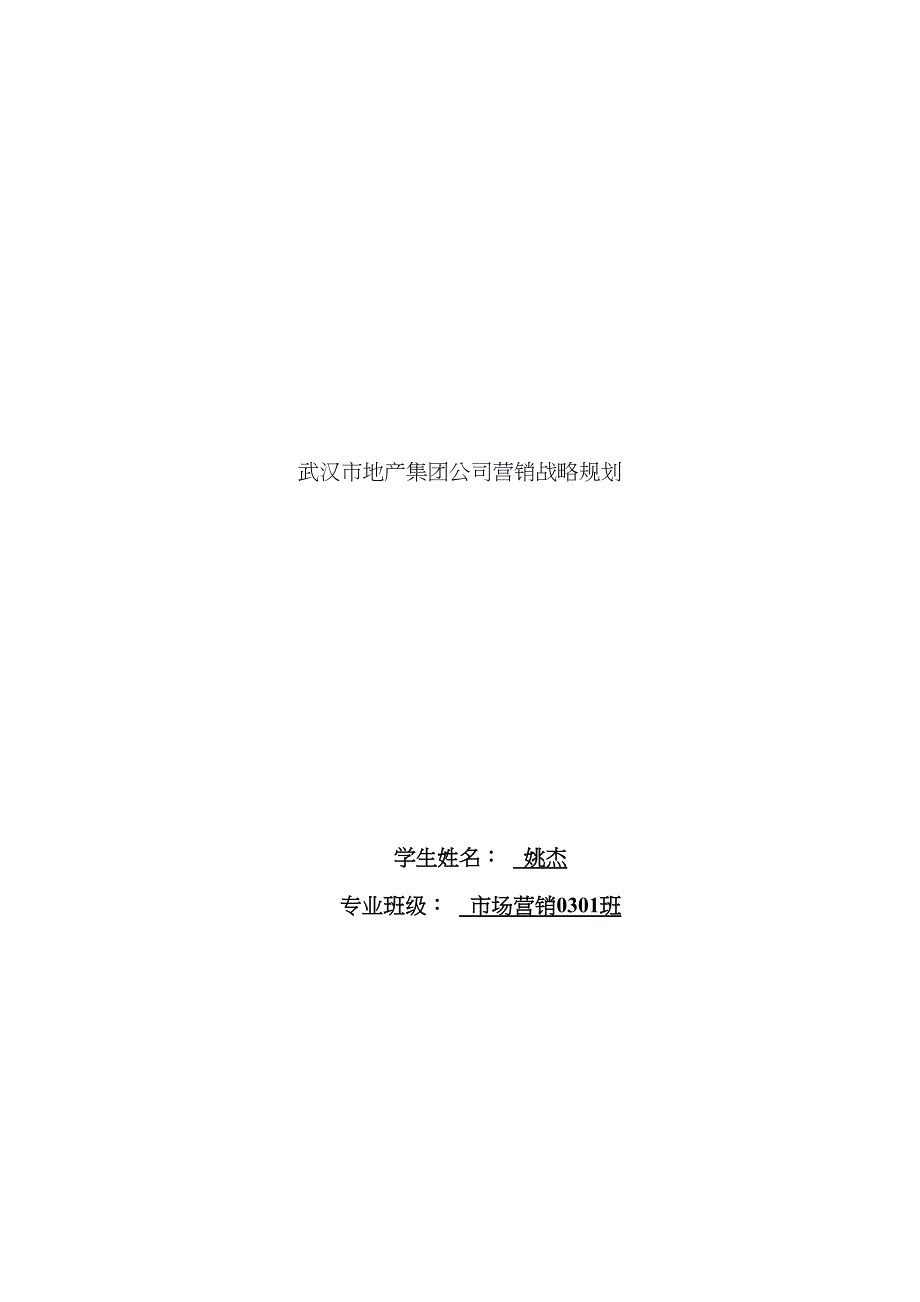 武汉市地产集团企业营销战略规划_第1页