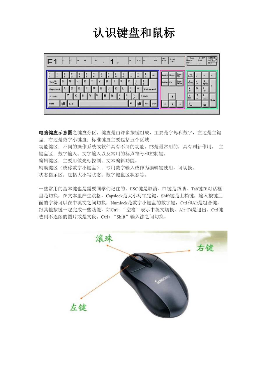 认识键盘和鼠标_第1页