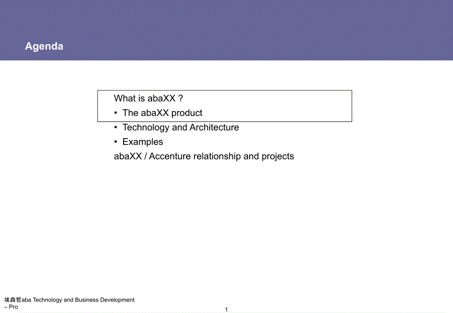 埃森哲abaTechnologyandBusinessDevelopmentPro课件_第2页