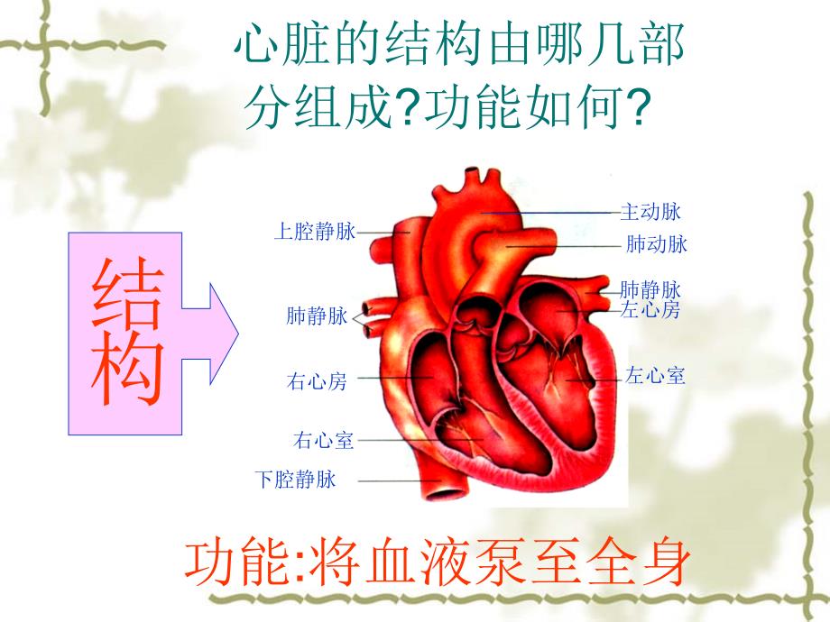 医学专题：输送血液泵----心脏(1)_第3页