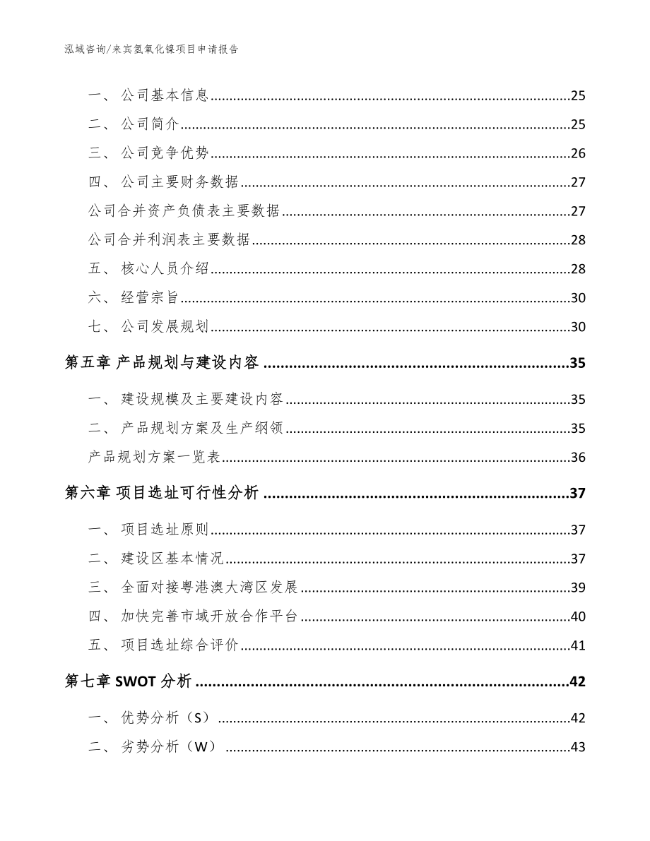 来宾氢氧化镍项目申请报告模板范文_第2页