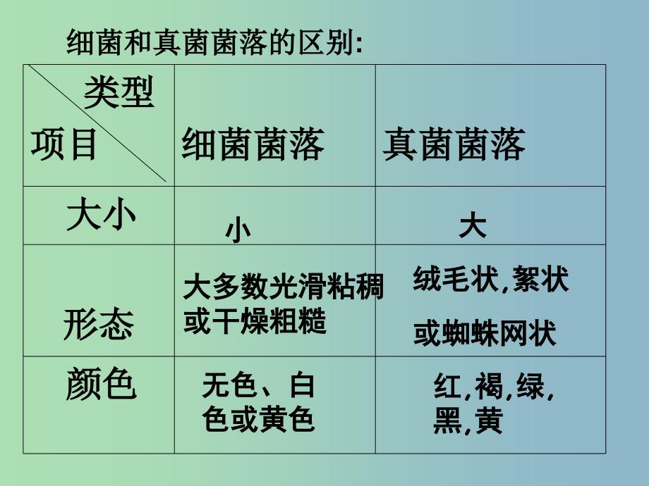 八年级生物上册 第五单元 第四章 细菌和真菌复习课件 （新版）新人教版.ppt_第4页