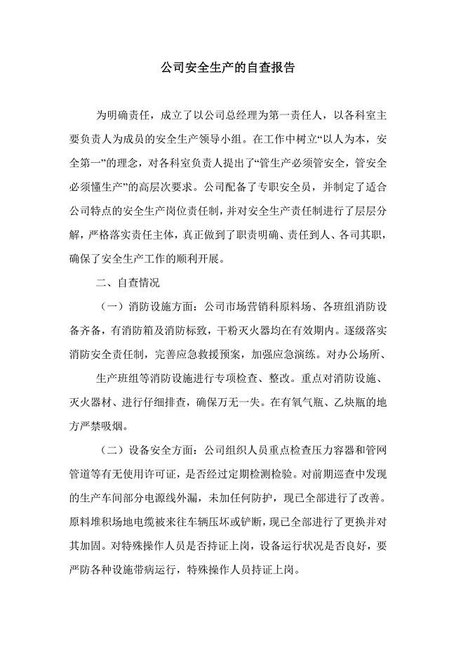 公司安全生产的自查报告