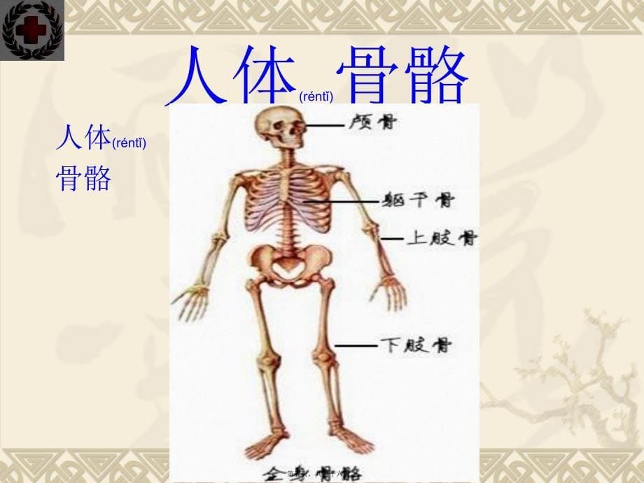 医学专题—创伤救护搬运PPT讲义1798_第5页