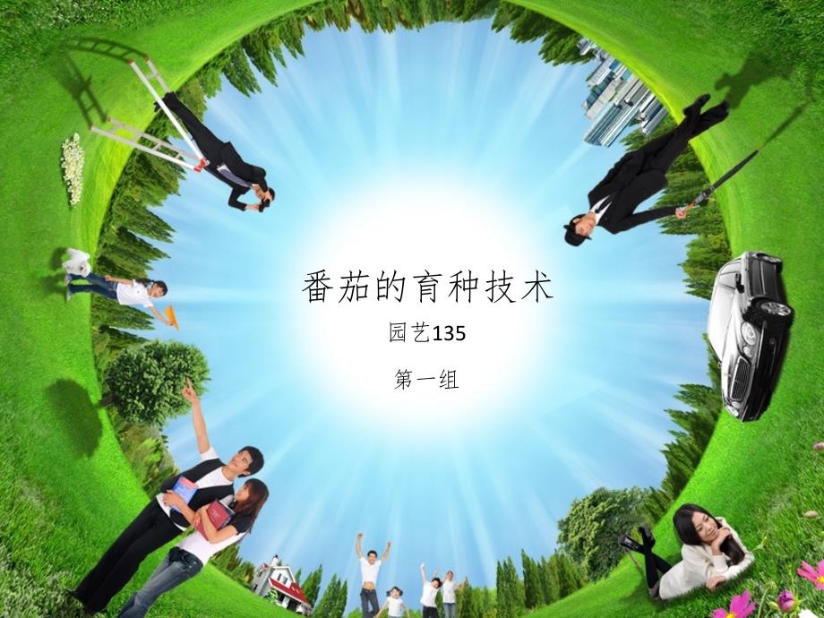 番茄的育种技术PPT演示课件_第1页
