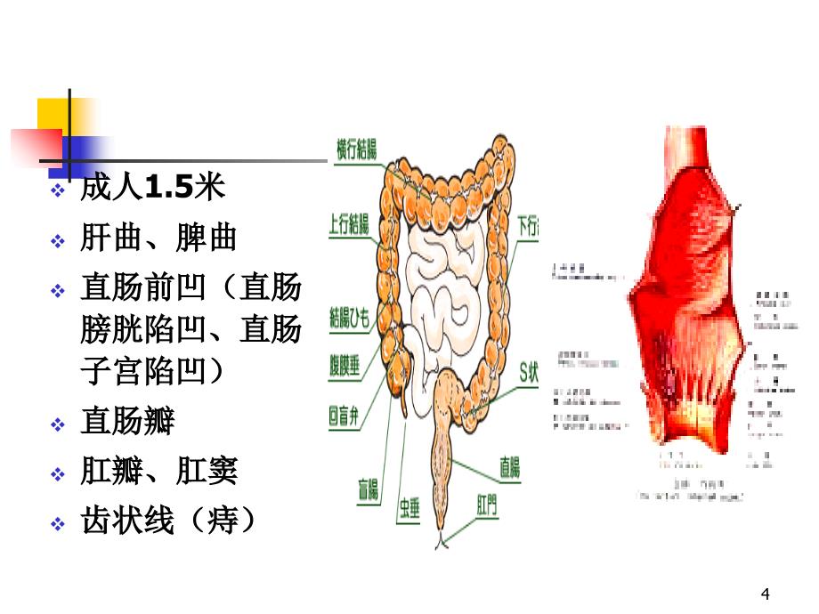 大肠肛管疾病病人护理_第4页