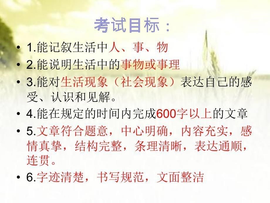 中考作文评分标准解析-PPT课件_第5页