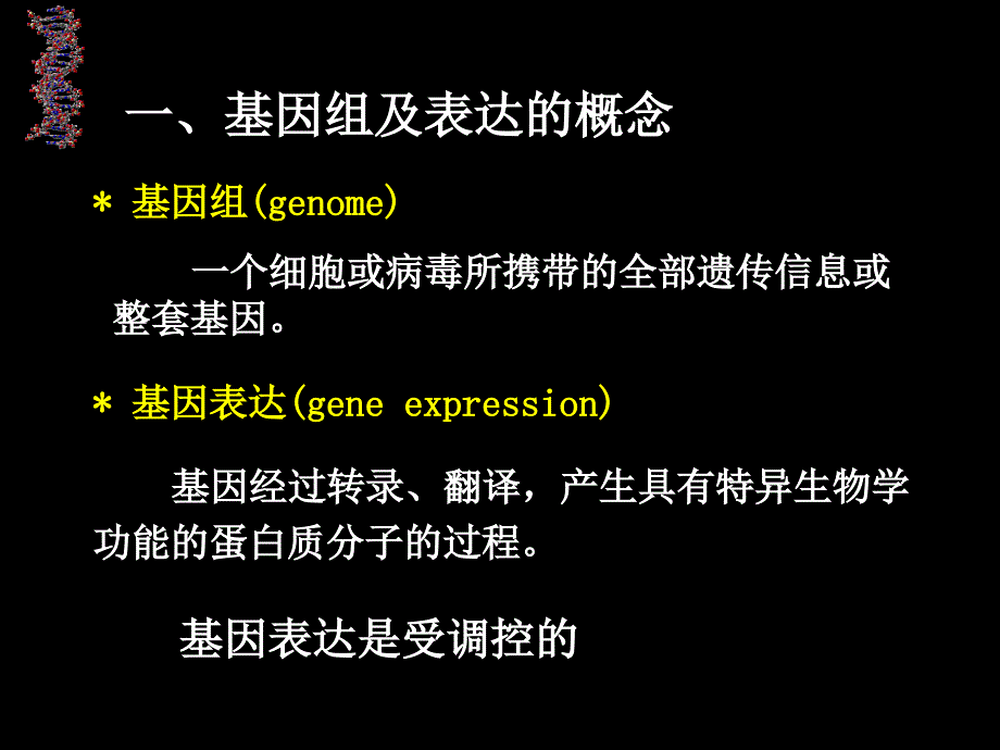 教学课件第十三章基因结构与基因表达调控GeneStructureand_第3页