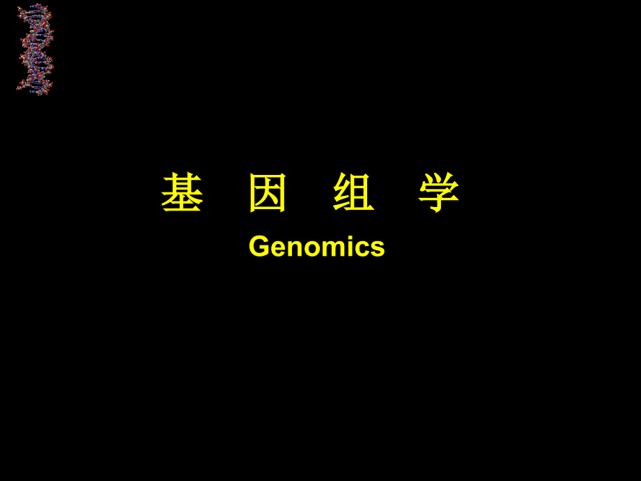 教学课件第十三章基因结构与基因表达调控GeneStructureand_第4页