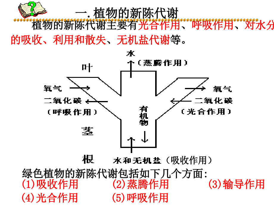 26讲绿色植物的新_第4页