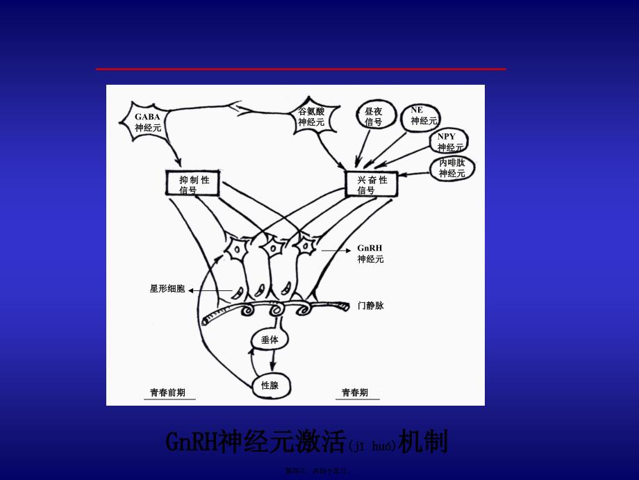 医学专题—性早熟诊治(2006修改)30538_第4页