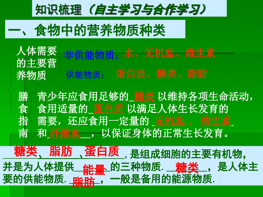 第二章人体的营养复习课件_第3页