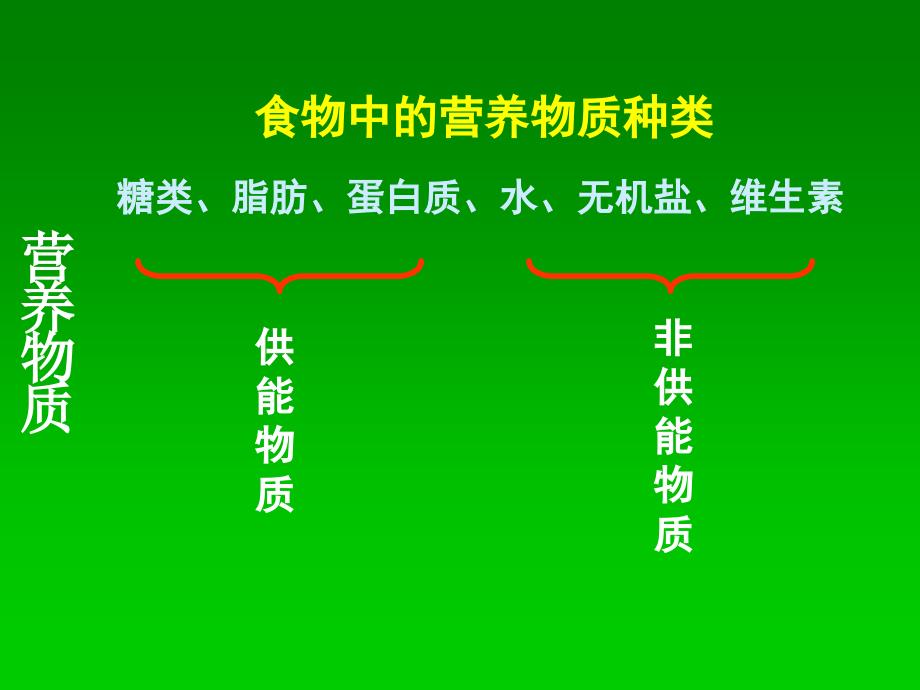 第二章人体的营养复习课件_第4页