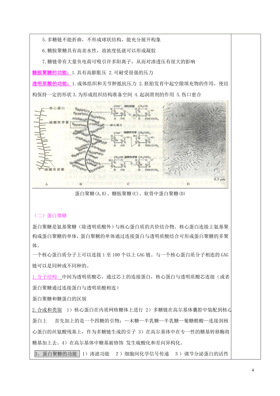 第五章 细胞外基质.doc_第4页