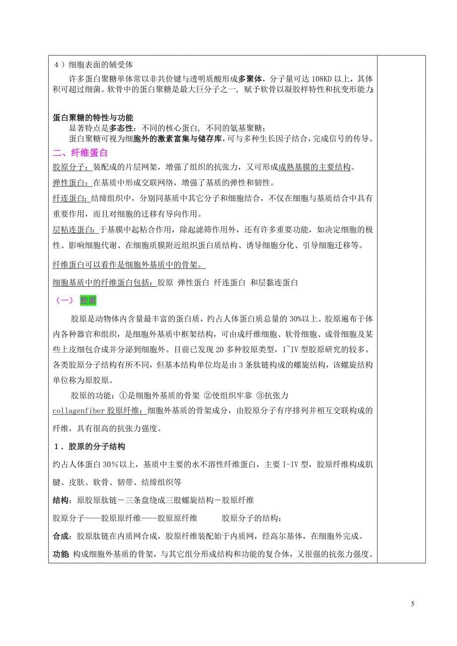 第五章 细胞外基质.doc_第5页