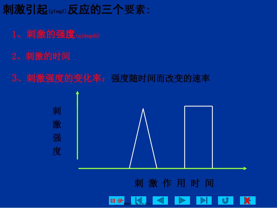 神经和肌肉1模板课件_第4页