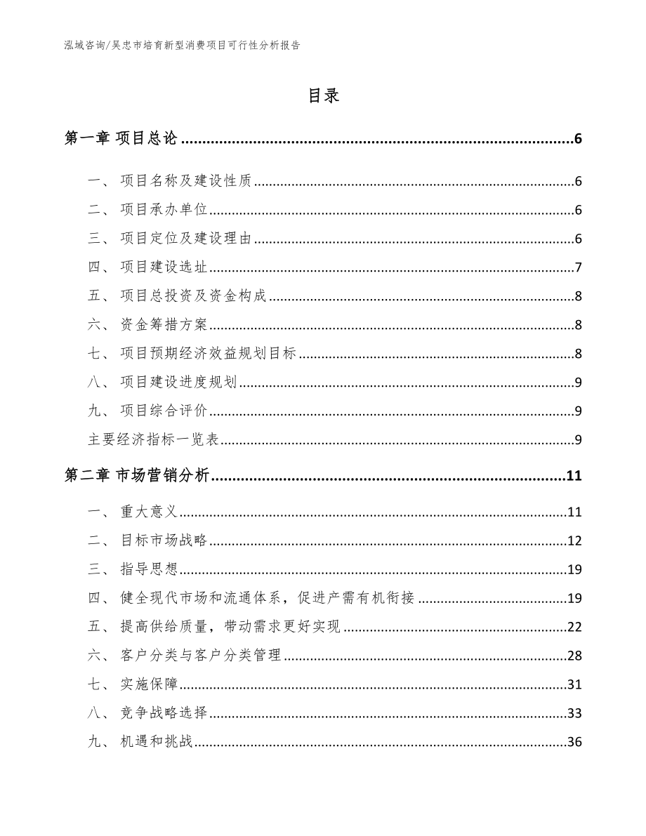 吴忠市培育新型消费项目可行性分析报告（范文模板）_第1页