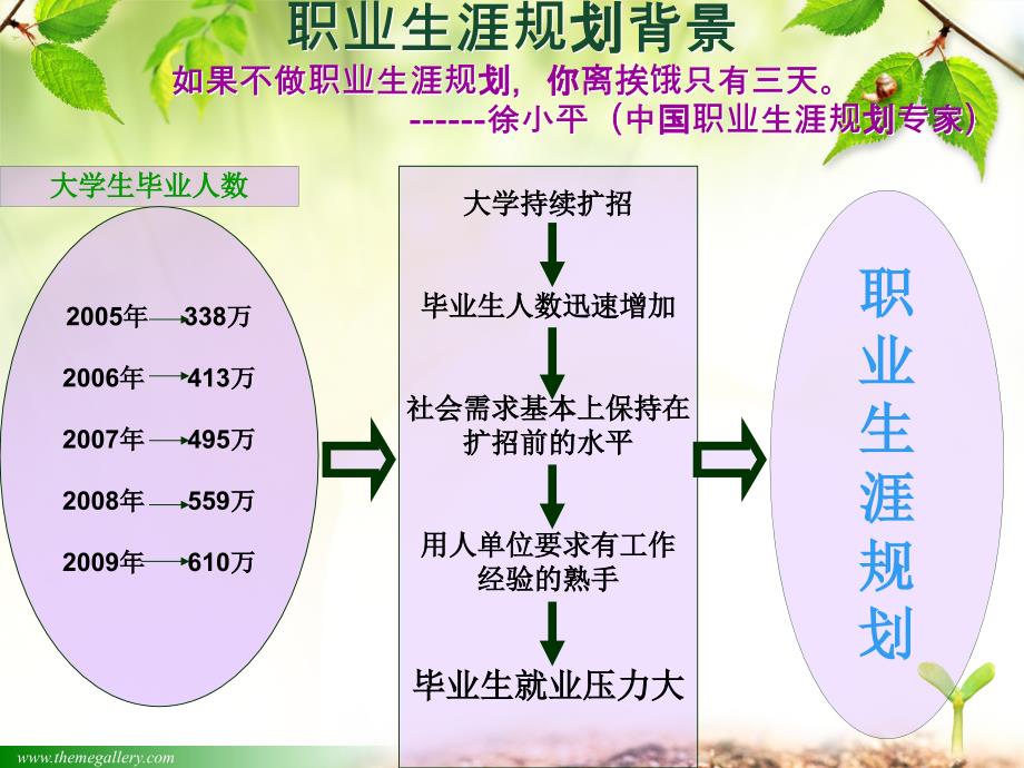 职业生涯规划大赛_第3页