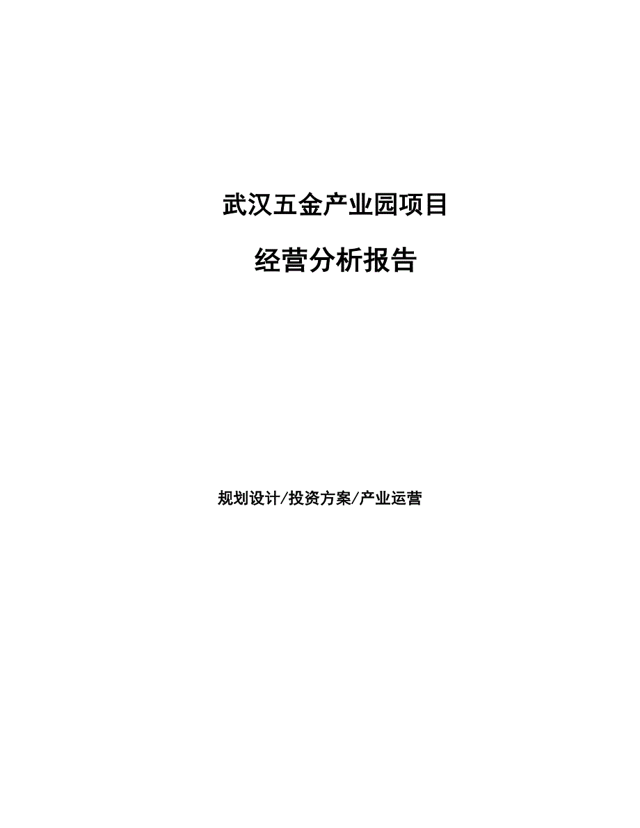 武汉五金产业园项目经营分析报告_第1页