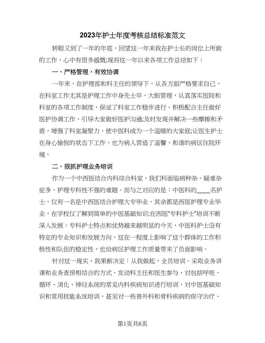 2023年护士年度考核总结标准范文（二篇）.doc_第1页