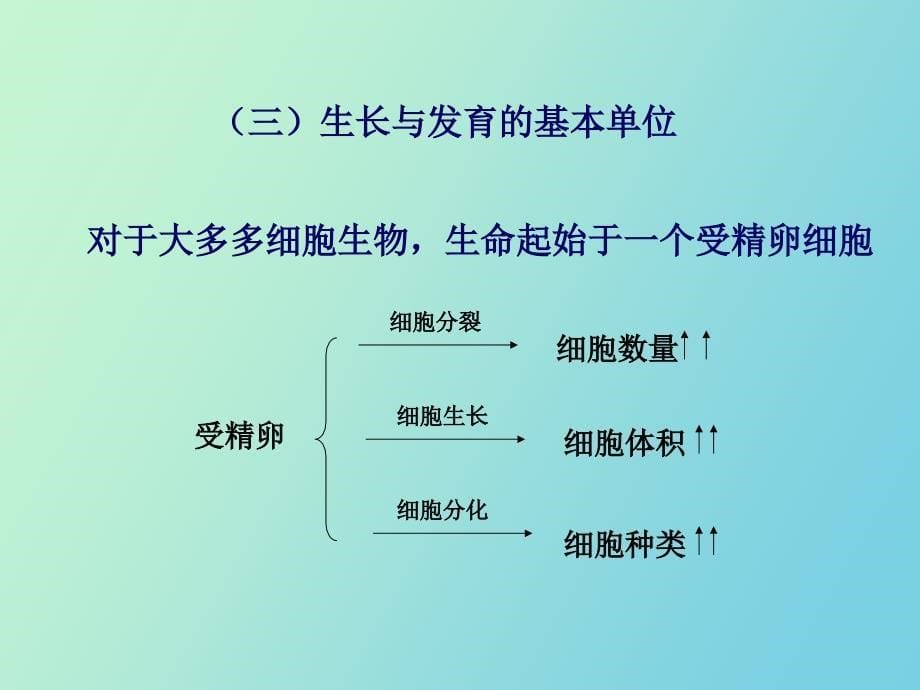 细胞概念与分子基础_第5页