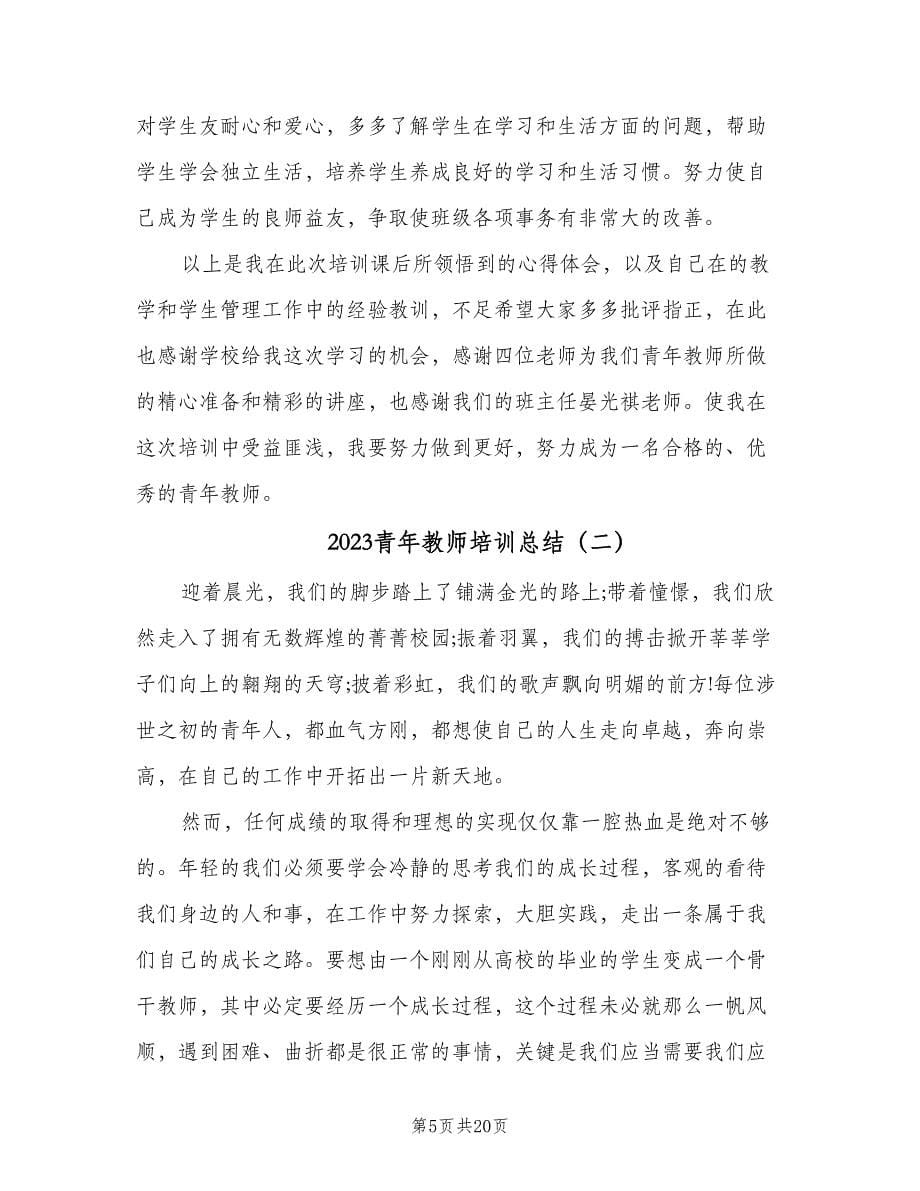 2023青年教师培训总结（5篇）.doc_第5页