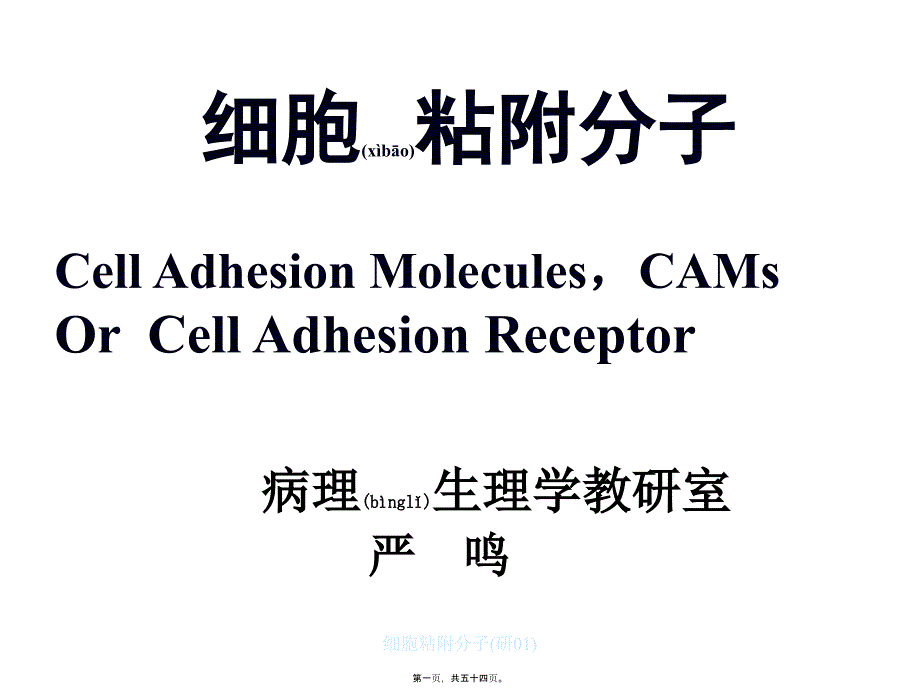 细胞粘附分子研01课件_第1页