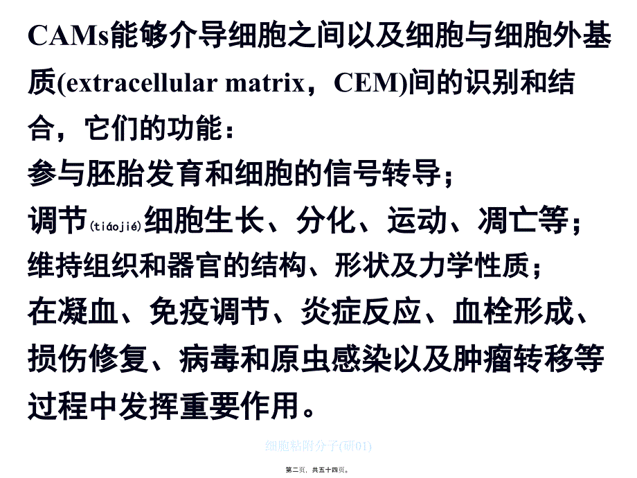 细胞粘附分子研01课件_第2页