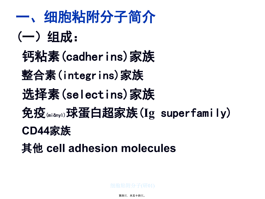 细胞粘附分子研01课件_第4页