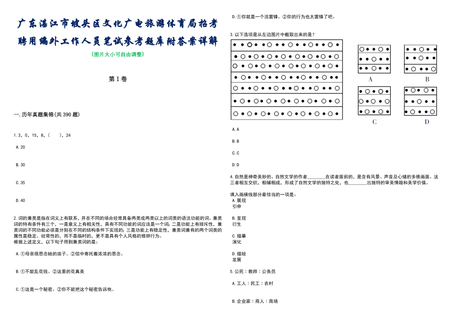 广东湛江市坡头区文化广电旅游体育局招考聘用编外工作人员笔试参考题库附答案详解_第1页