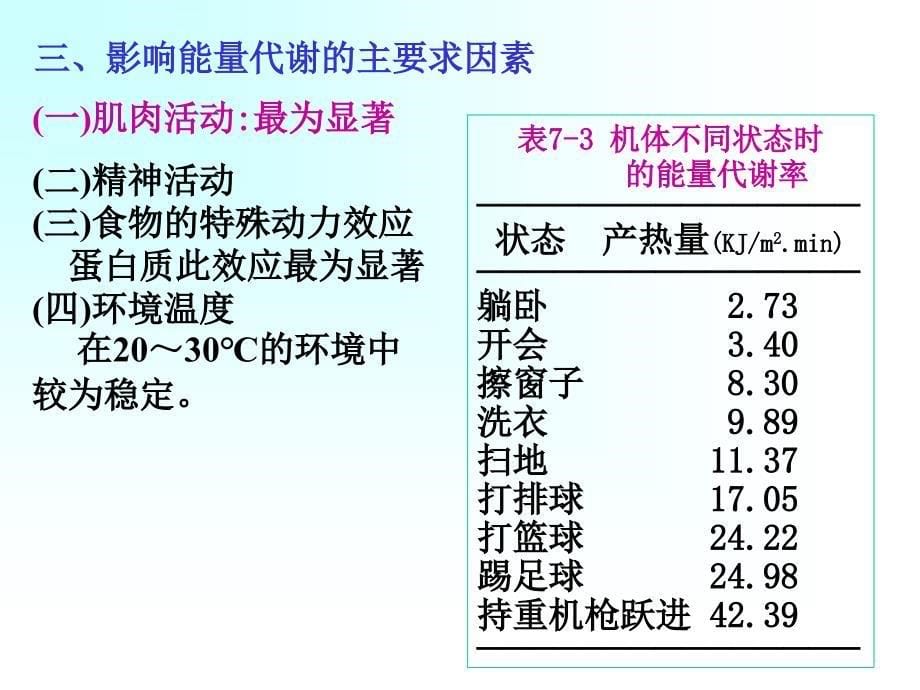 第六章能量代谢与体温_第5页