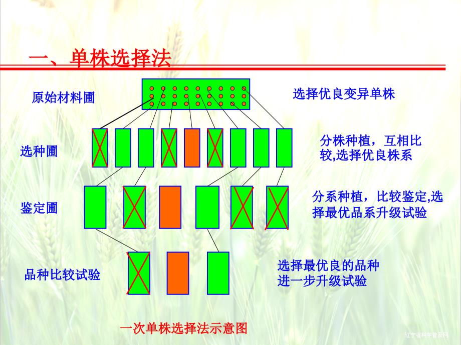 选择的基本方法_第4页