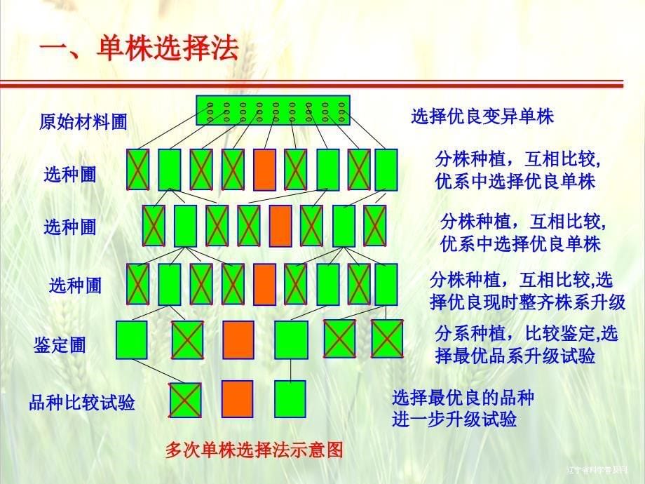 选择的基本方法_第5页