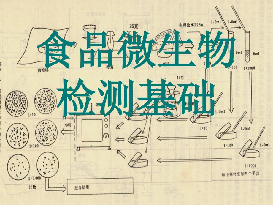 食品微生物检测基础_第1页