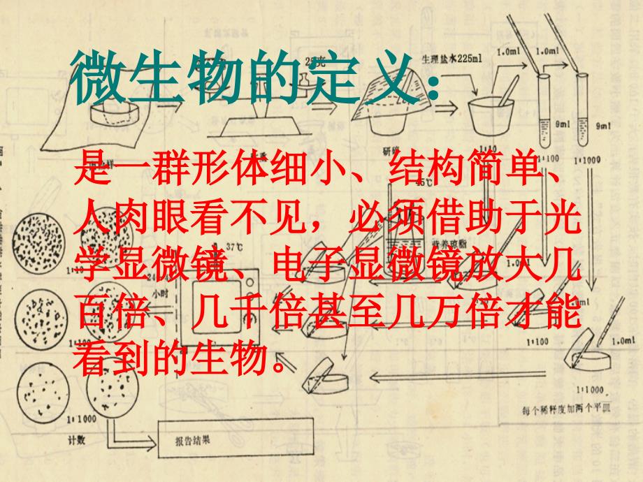 食品微生物检测基础_第3页