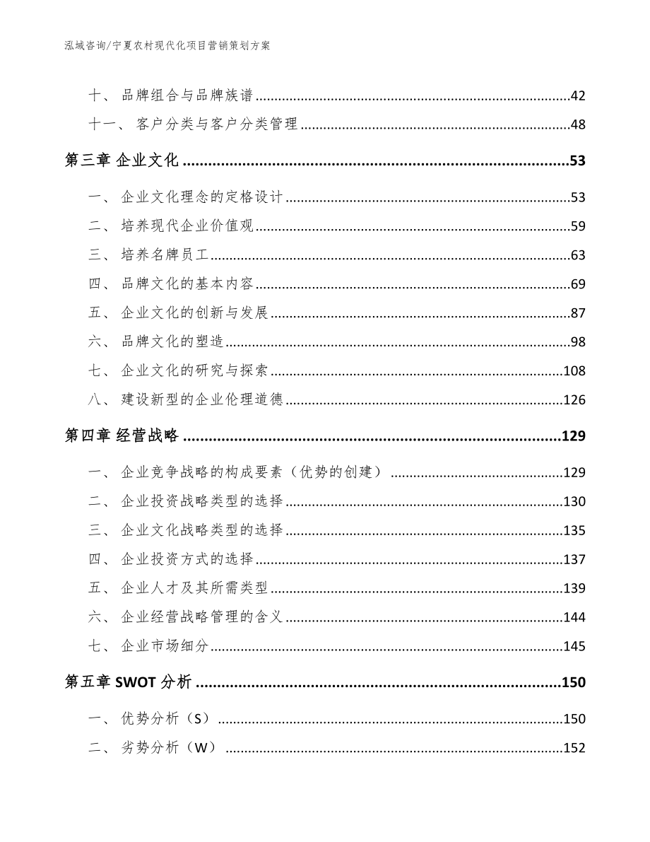 宁夏农村现代化项目营销策划方案_第2页