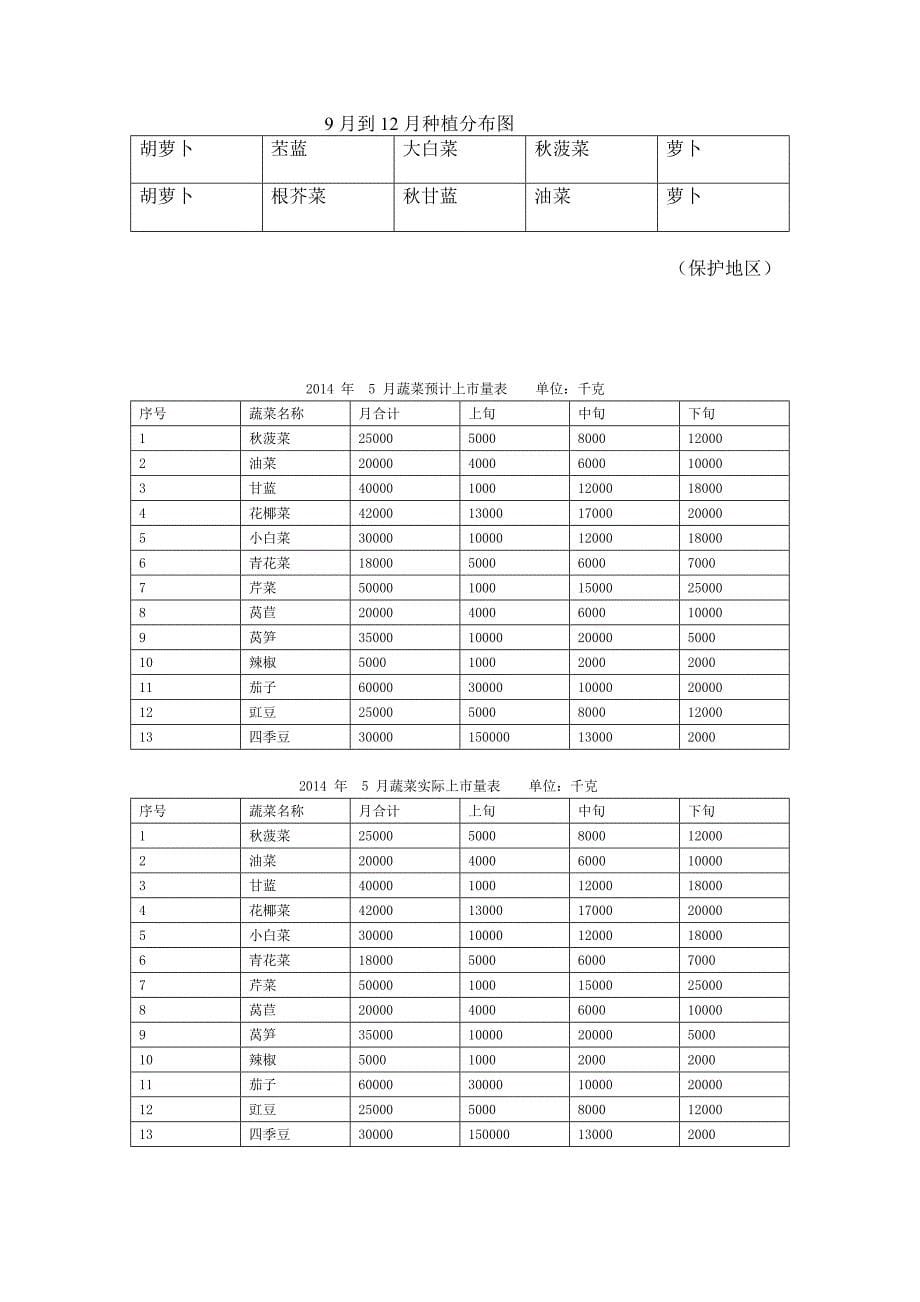 蔬菜种植计划.doc_第5页