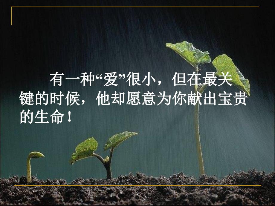 《她是我的朋友》课件 (2)_第1页