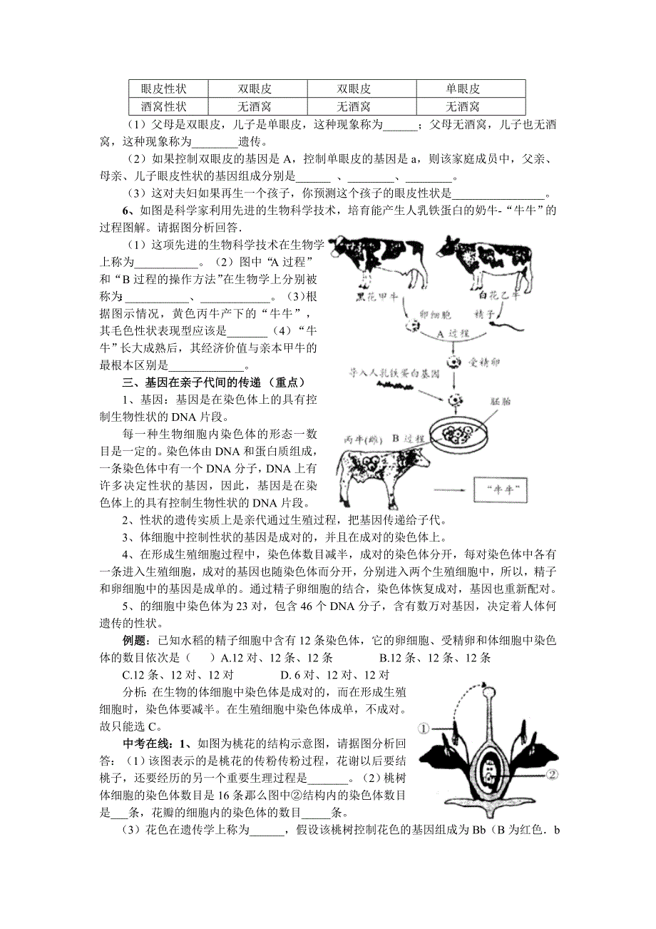 新版八年级生物下册中考复习资料_第2页