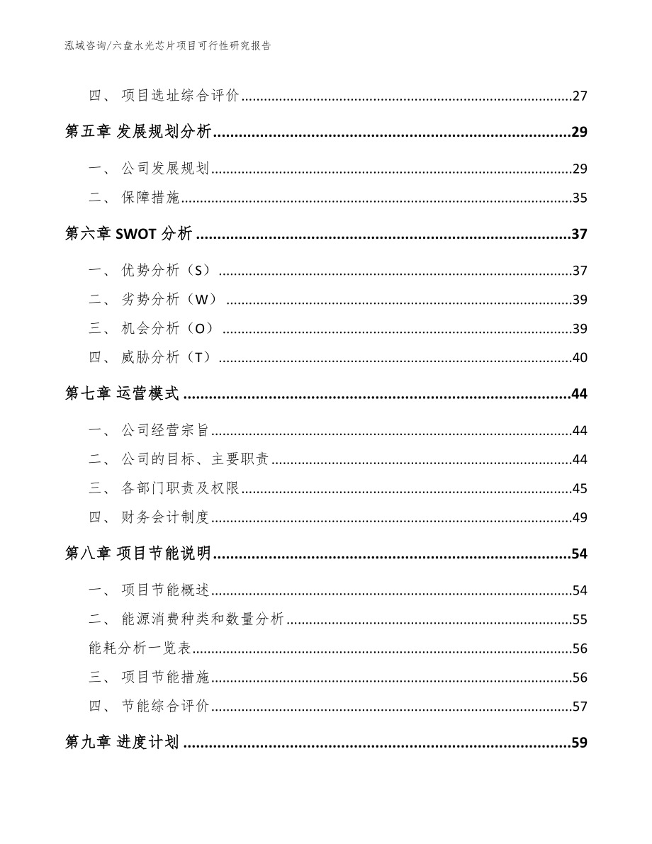 六盘水光芯片项目可行性研究报告_第3页