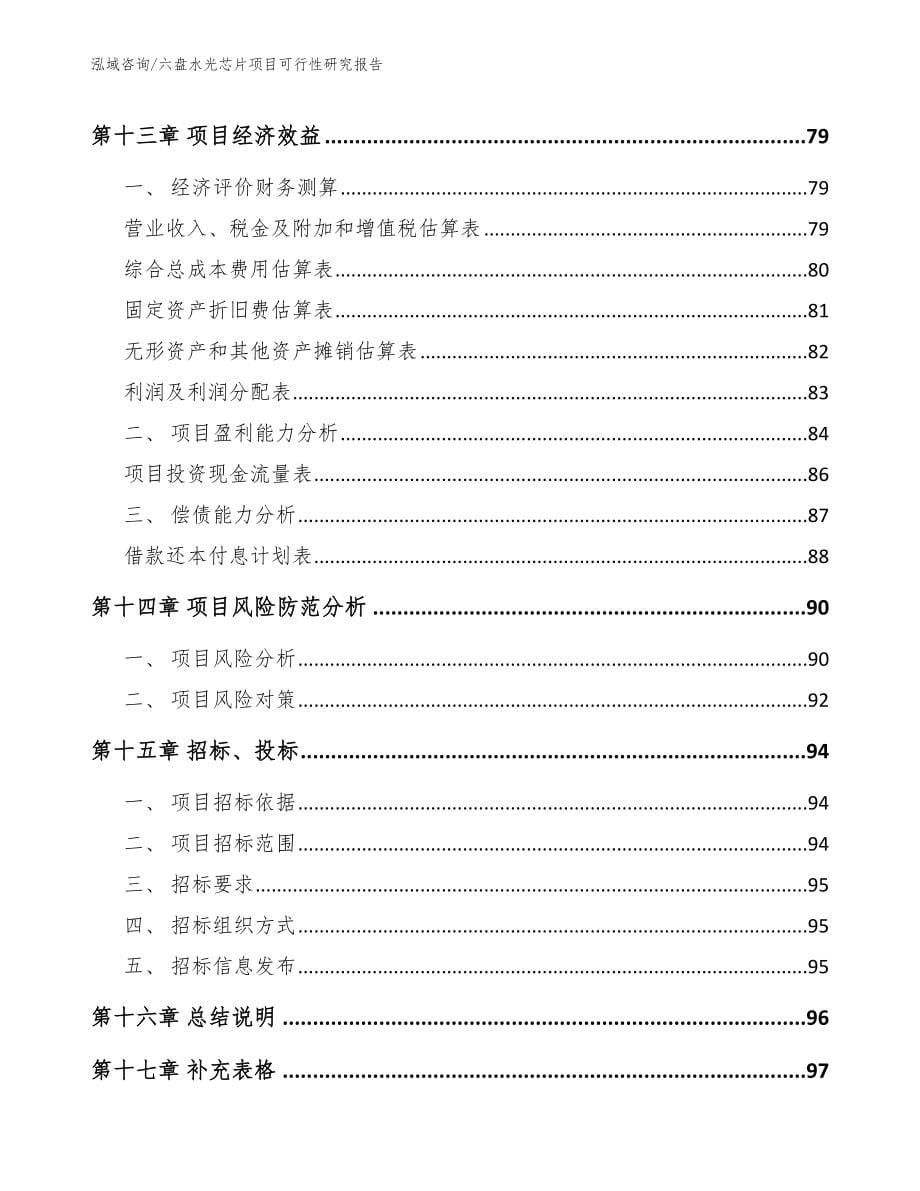 六盘水光芯片项目可行性研究报告_第5页