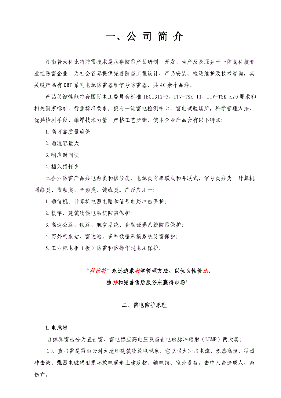 贵州大学学校机房防直击雷设计专项方案科比特防雷品牌.doc_第2页