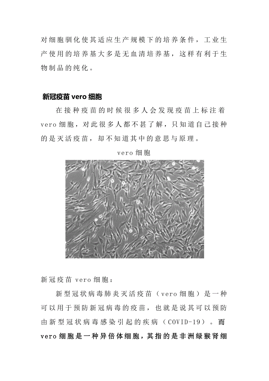 备课资料：动物细胞细胞培养vero细胞及CHO细胞的特性.docx_第4页