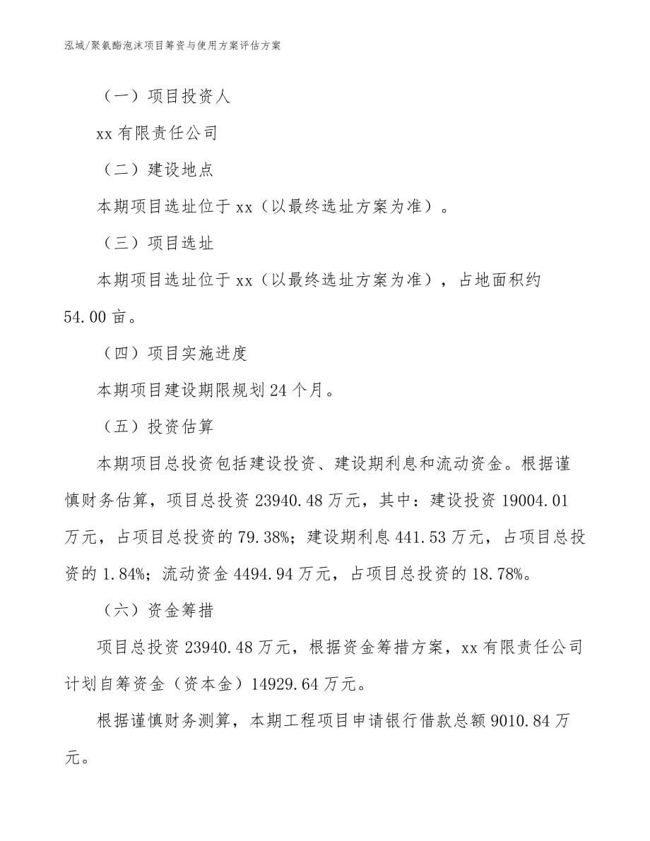 聚氨酯泡沫项目筹资与使用方案评估方案_第5页