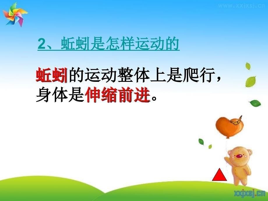 三年级科学上册一和动物交朋友2校园里的动物第一课时课件_第5页