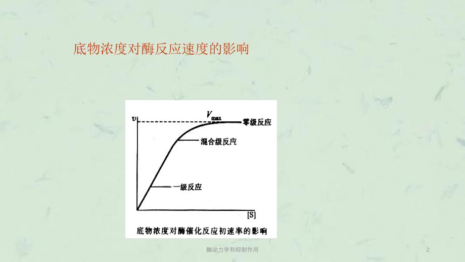 酶动力学和抑制作用课件_第2页