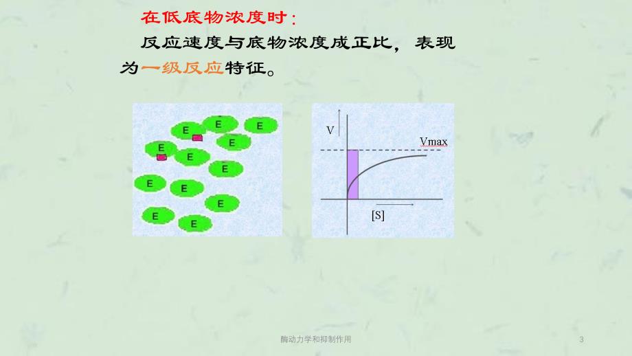 酶动力学和抑制作用课件_第3页