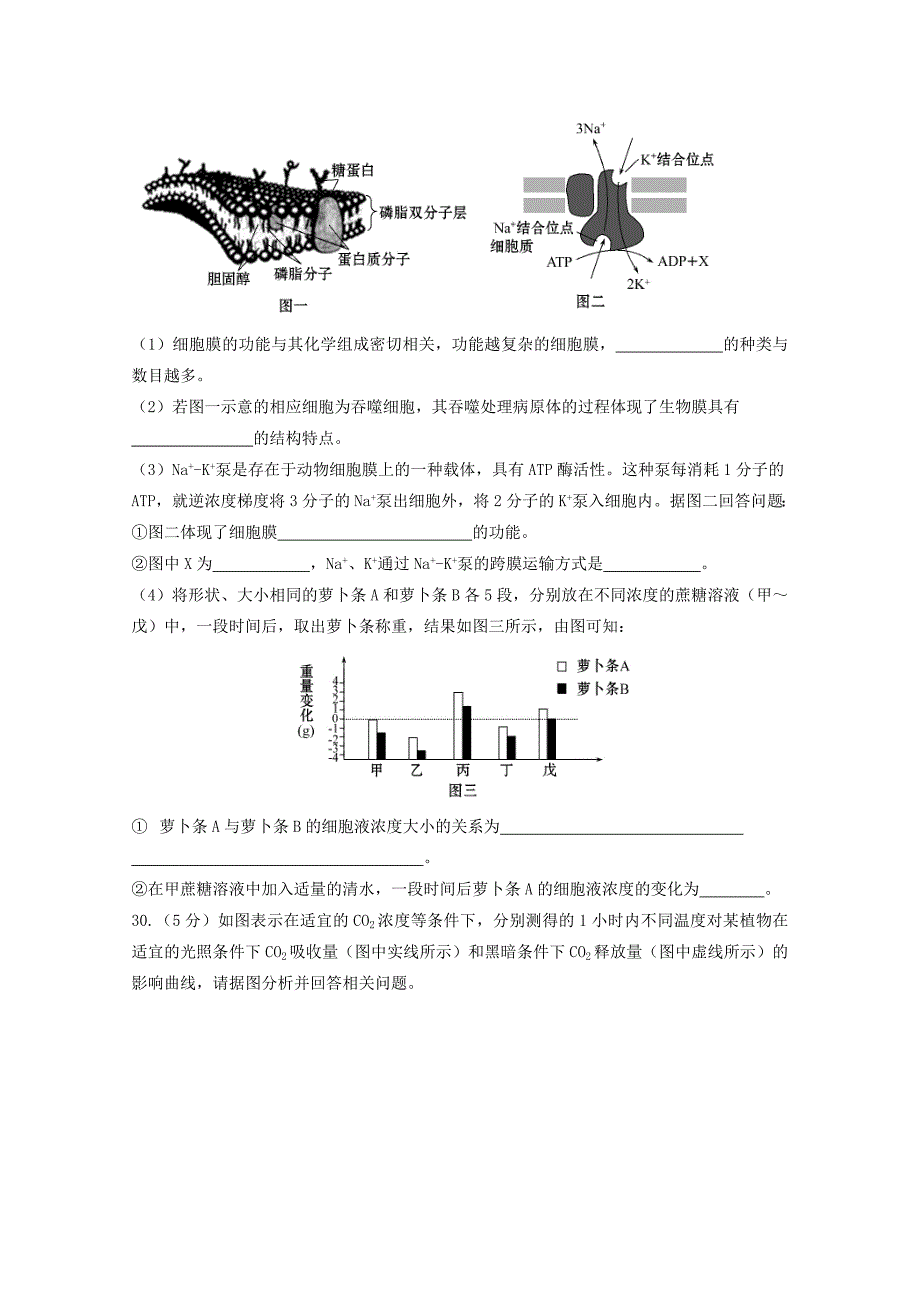 广东省湛江市第一中学2016届高三生物上学期11月月考试题_第3页