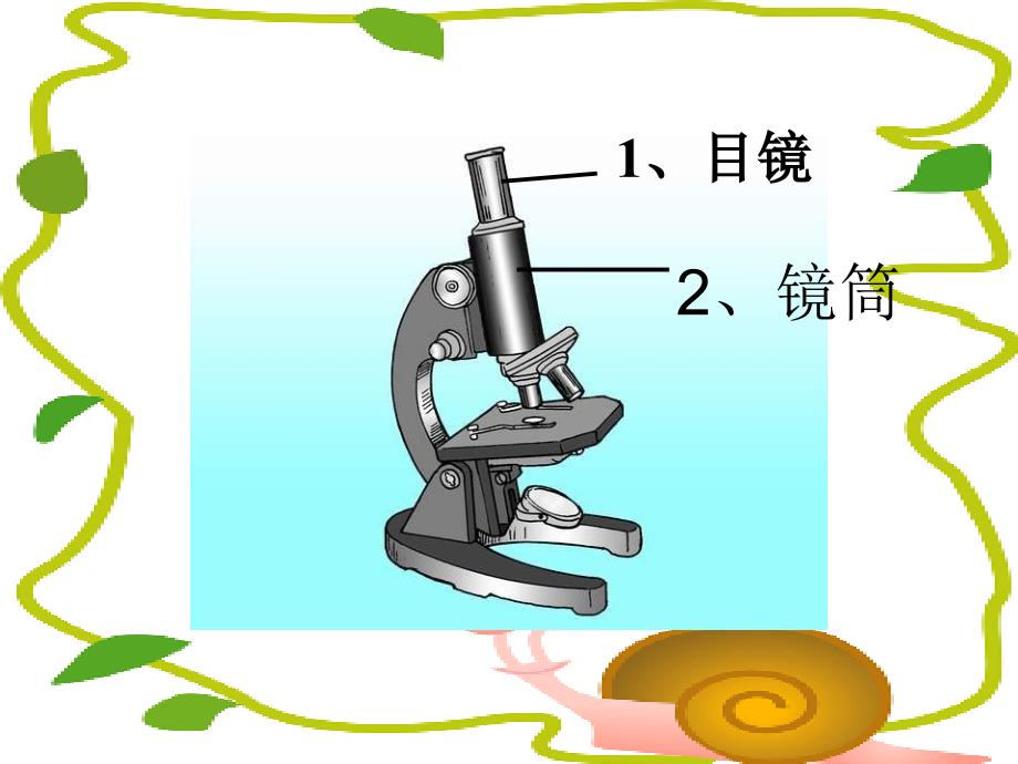 第四节：生物学的研究工具（显微镜）_第3页