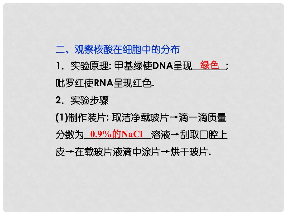 高中生物 第二章 第3节 遗传信息的携带者精品课件 新人教版必修1_第4页